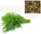 Indian Soybean Seeds