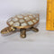 Brass Tortoise for Good Luck Showpiece 304g