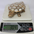 Brass Tortoise for Good Luck Showpiece 304g