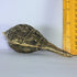 Brass Shankh, Conch 433g