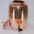 Pure Copper Water Dispenser 1373g