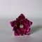 Pure Silver Pink Roses 3.5g