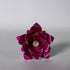 Pure Silver Pink Roses 3.5g