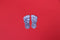 Pure Silver Laxmi Paduka 2g