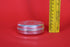 Pure Silver Soap Box Oval Shaped 57.8g