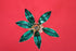 Pure Silver Turmeric Tree 82.46g