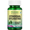 Morpheme Remedies Gymnema Slyvestre Capsules 100g