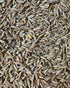 Kalagura Gampa Desi Cumin Seeds