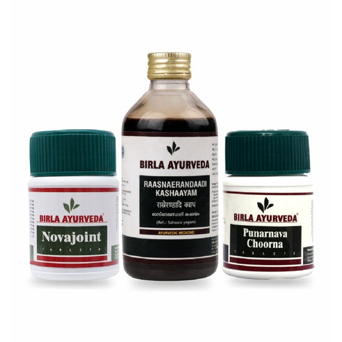 Birla Ayurveda Pain Kit