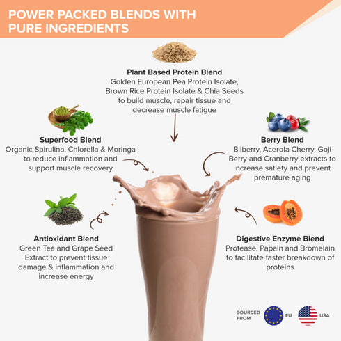 Wellbeing Nutrition Superfood Plant Protein | Dark Chocolate Hazelnut