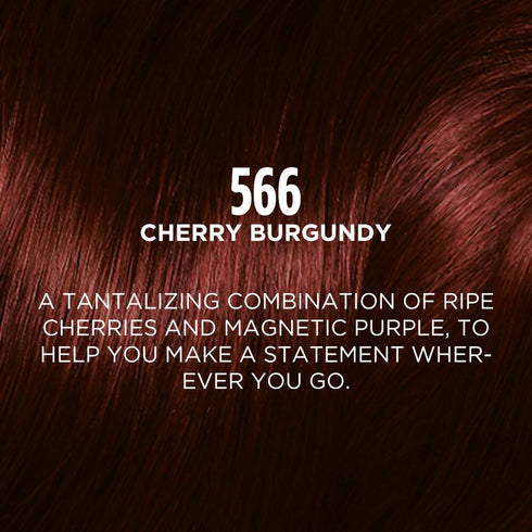 L'Oreal Paris Casting Creme Gloss Ultra Visible Conditioning Hair Color | 566 Cherry Burgundy