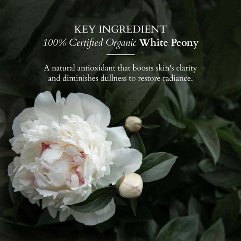 Lotus Organics+ Brightening De Tan Face Pack