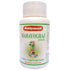 Baidyanath Vansaar Mahayograj Guggulu 40 Tablets