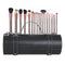 Coloressence Premium Quality Natural Bristles Set Of 18