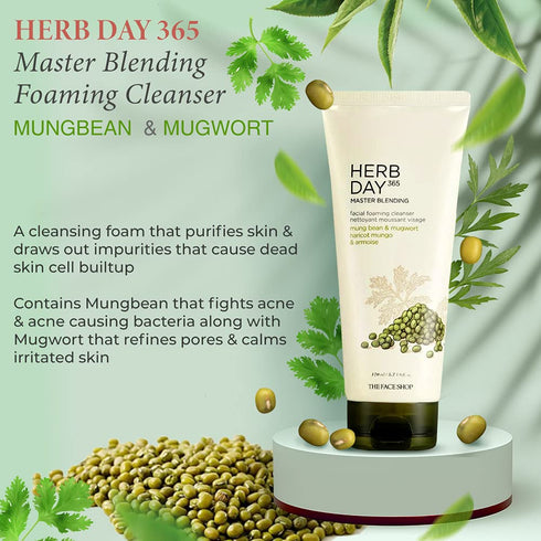 The Face Shop Herb Day 365 Foaming Cleanser - Mungbean & Mugwort 170ml