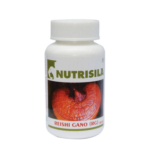 Extasy Nutrisila Reishi Gano |RG Capsules