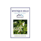 Mystique Hills Harsingar Leaves Herbal Tea |Parijat