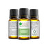 Bliss of Earth Premium Essential Oil Peppermint