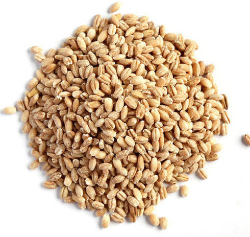 Hebsur Herbals Barley Seeds