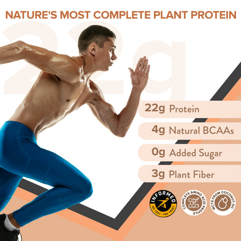 Wellbeing Nutrition Superfood Plant Protein | Dark Chocolate Hazelnut