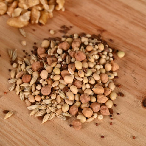 Equisential Postpartum Laddu Multigrain