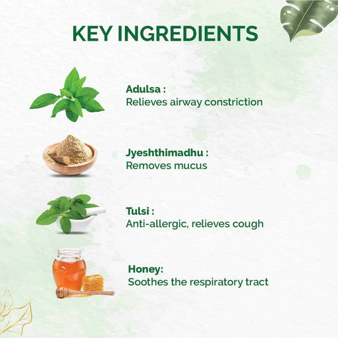 Dr. Vaidya's Tulsi Ginger Cough Syrup