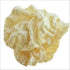 Olive Mithai Shop Rice Papad White