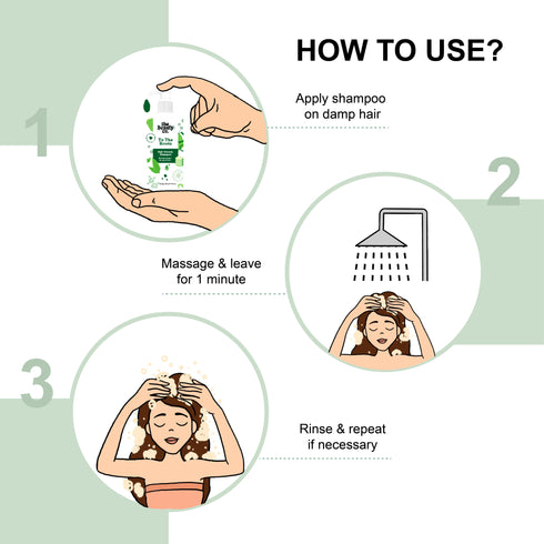 the beauty co India To The Roots Hair Growth Shampoo With Redensyl and Anagain