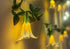 White Paper Flower Fairy Lights