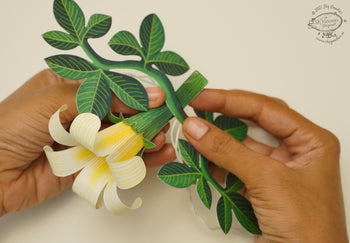 White Paper Flower Fairy Lights