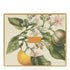 Kama Ayurveda Top To Toe Nourishment Gift Box