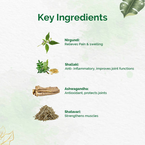 Dr. Vaidya's Pain Relief Oil