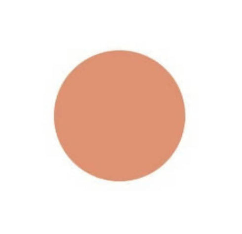 Innisfree My Foundation 3.1 W33 Chestnut