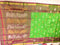 Pallu Butta With Green Color Saree
