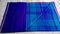 Soundrya Anand Violet Color Saree