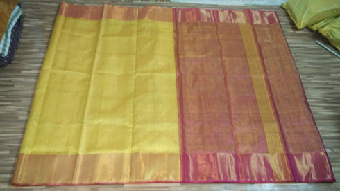 Special Tissue Saree With Big Border