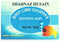 Shahnaz Husain Sea Wave Soap