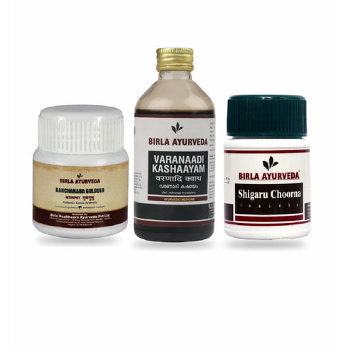 Birla Ayurveda Weight Loss Kit