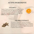 Aegte Skin Filter High Coverage Concealer | Golden Glow