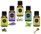 Earth N Pure Essential Oils Tea Tree, Lavender, Eucalyptus, Peppermint and Lemongrass