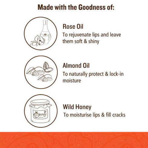 Soultree Ayurvedic Lip Gloss | Rich Earth