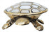Brass Showpiece Tortoise | Kachua Statue 0.231kg