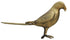 Brass Showpiece Table Decor Parrot Statue 1.58kg