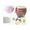 Aroma Treasures Candle Ceramic Diffuser (With 2 Candles and 1 Bottle of 10ml Lemongrass Pure Essential Oil) packet of 1 Kit