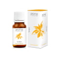 Aroma Treasures Turmeric Essential Oil 10 ml