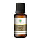 Korus Essential Pine Essential Oil | Therapeutic Grade