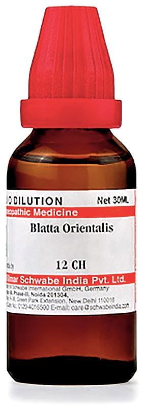 Dr Willmar Schwabe India Blatta Orientalis Dilution 12 CH