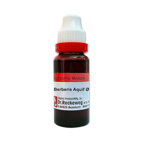 Dr. Reckeweg Berberis Aquif Mother Tincture Q