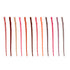Swiss Beauty Bold Matte Lipliner Pack Of 12 Pcs 19.2g