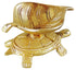 Brass Decorative Tortoise Deepak 0.12kg